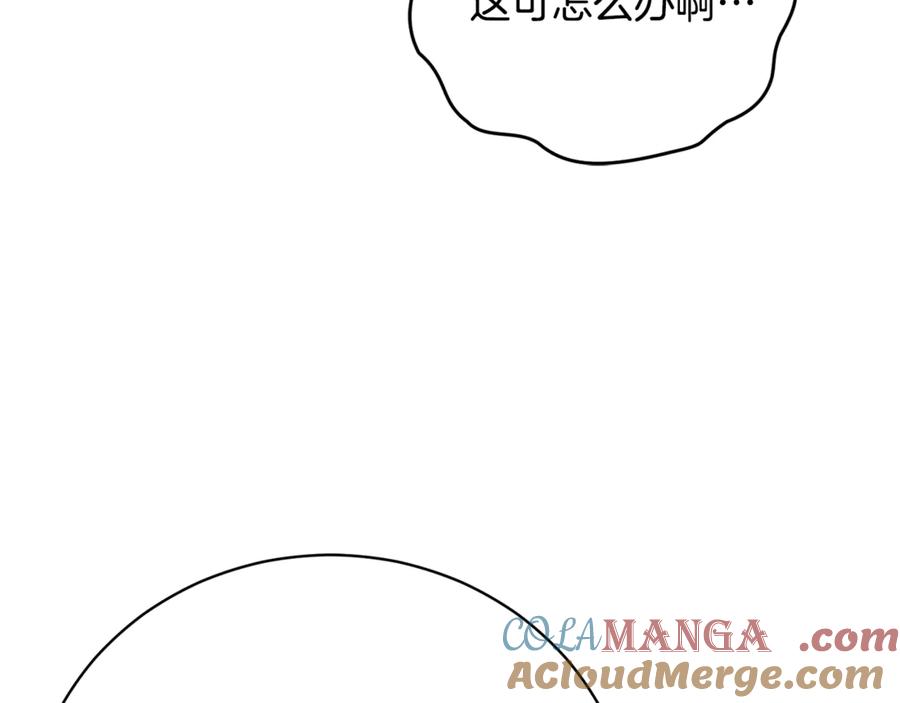 113.jpg