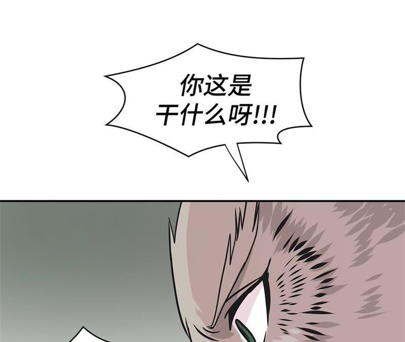 第81话会场袭击-奇妙的动物高中-一漫文化（第23张）