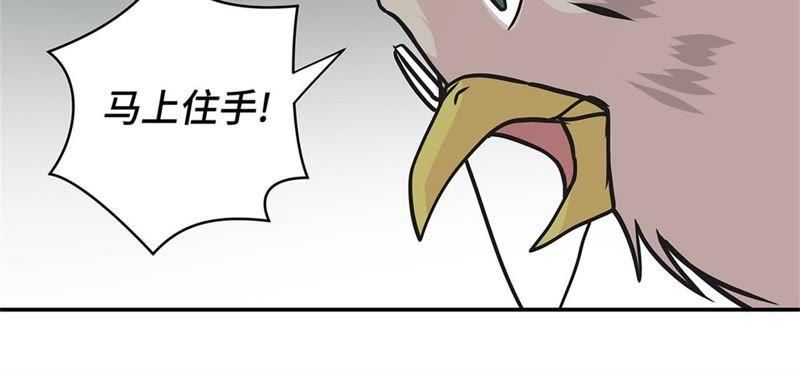 第81话会场袭击-奇妙的动物高中-一漫文化（第24张）