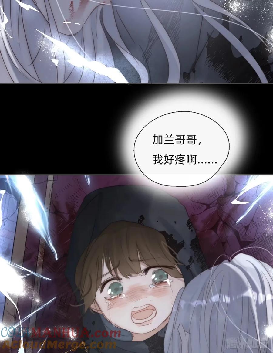40.jpg