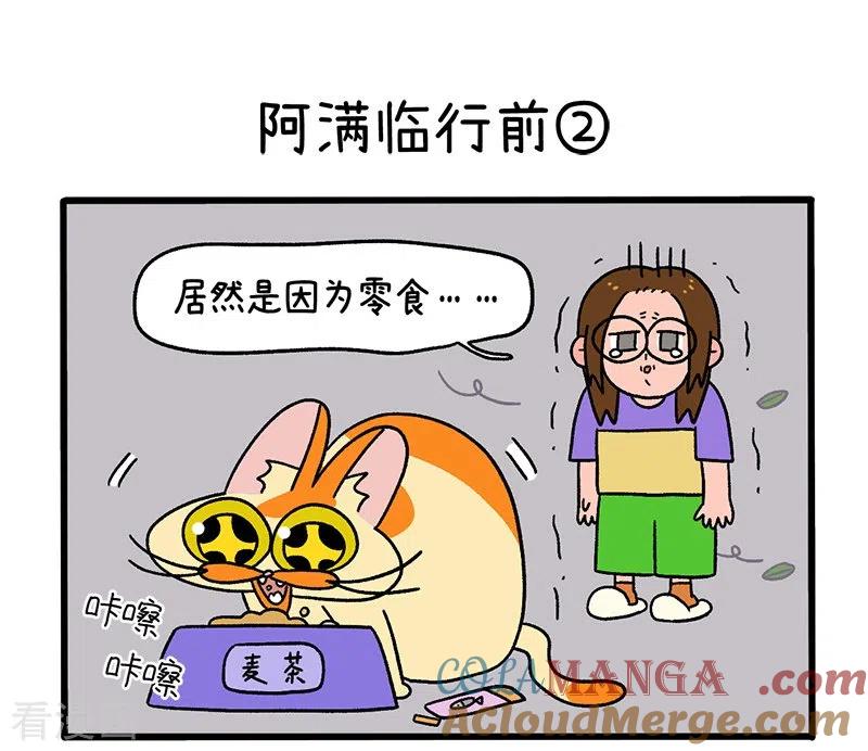第34话1阿满临行前-阿满和麦茶-新漫画 日胖大海寺（第5张）