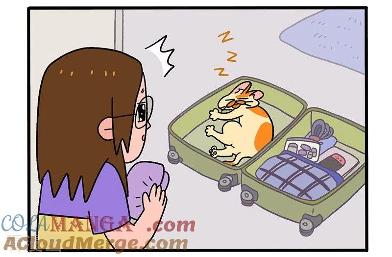 第34话1阿满临行前-阿满和麦茶-新漫画 日胖大海寺（第7张）