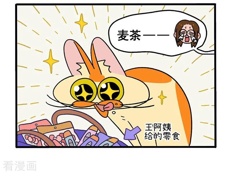 第34话1阿满临行前-阿满和麦茶-新漫画 日胖大海寺（第4张）