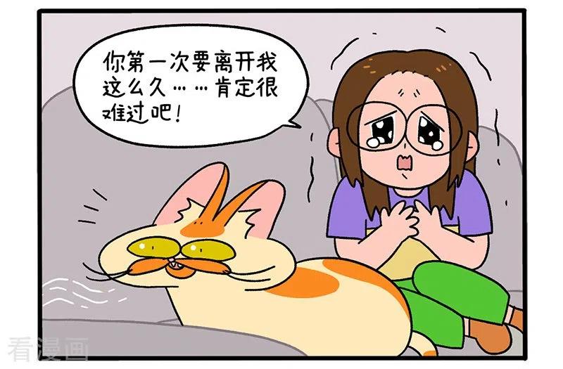 第34话1阿满临行前-阿满和麦茶-新漫画 日胖大海寺（第2张）