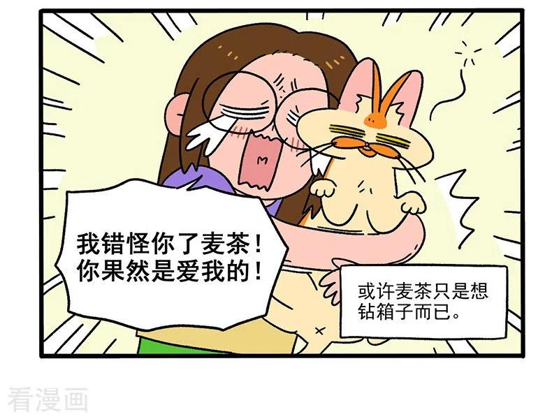 第34话1阿满临行前-阿满和麦茶-新漫画 日胖大海寺（第8张）