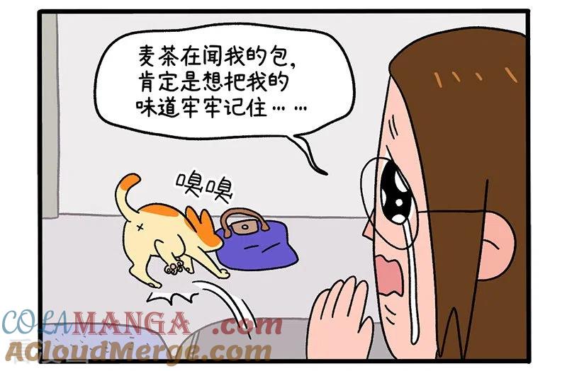 第34话1阿满临行前-阿满和麦茶-新漫画 日胖大海寺（第3张）