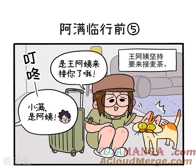 第34话2阿满临行前-阿满和麦茶-新漫画 日胖大海寺（第5张）