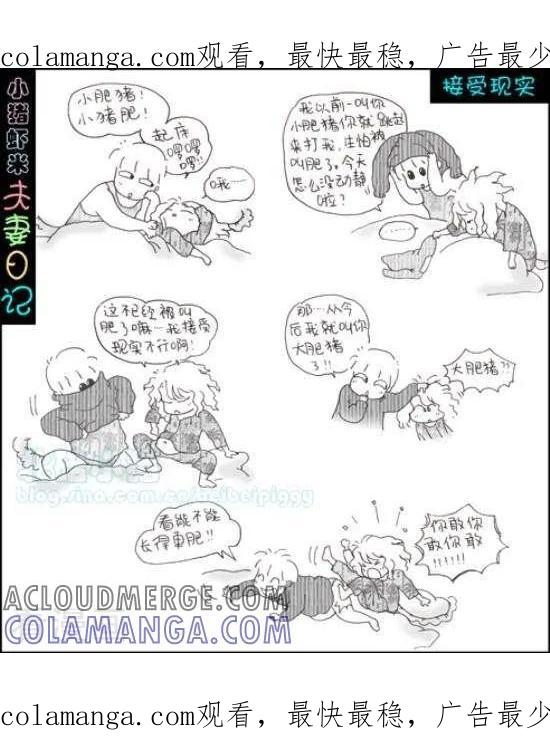 第39话接受现实-七年不痒——小猪虾米夫妻日记（第三季）-北碚小猪（第1张）