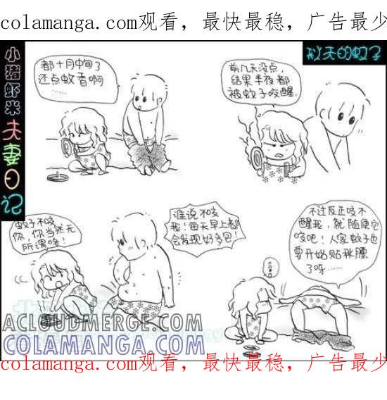 第57话秋天的蚊子-七年不痒——小猪虾米夫妻日记（第三季）-北碚小猪（第1张）