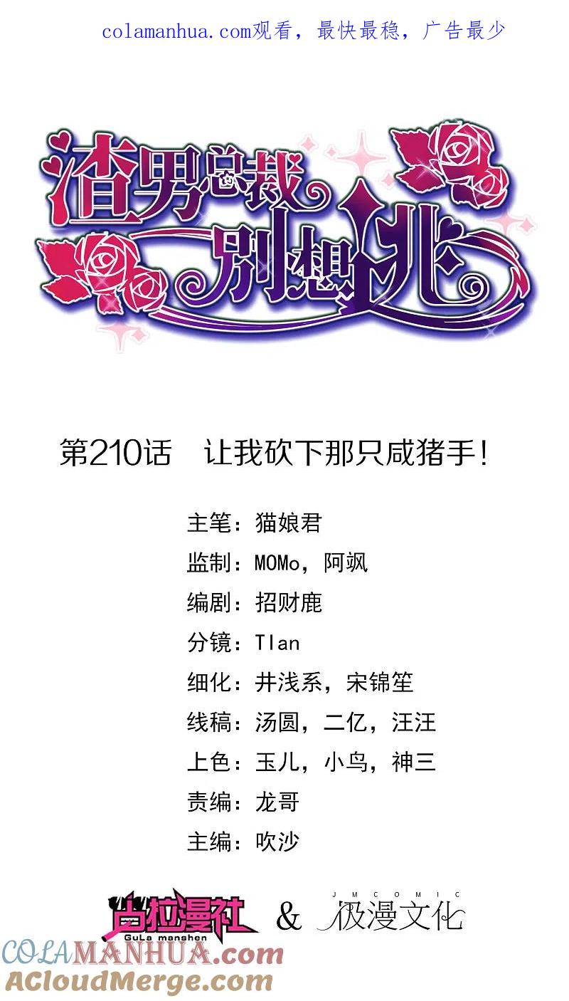第210话让我砍下那只咸猪手！-渣男总裁别想逃-极漫文化（第1张）