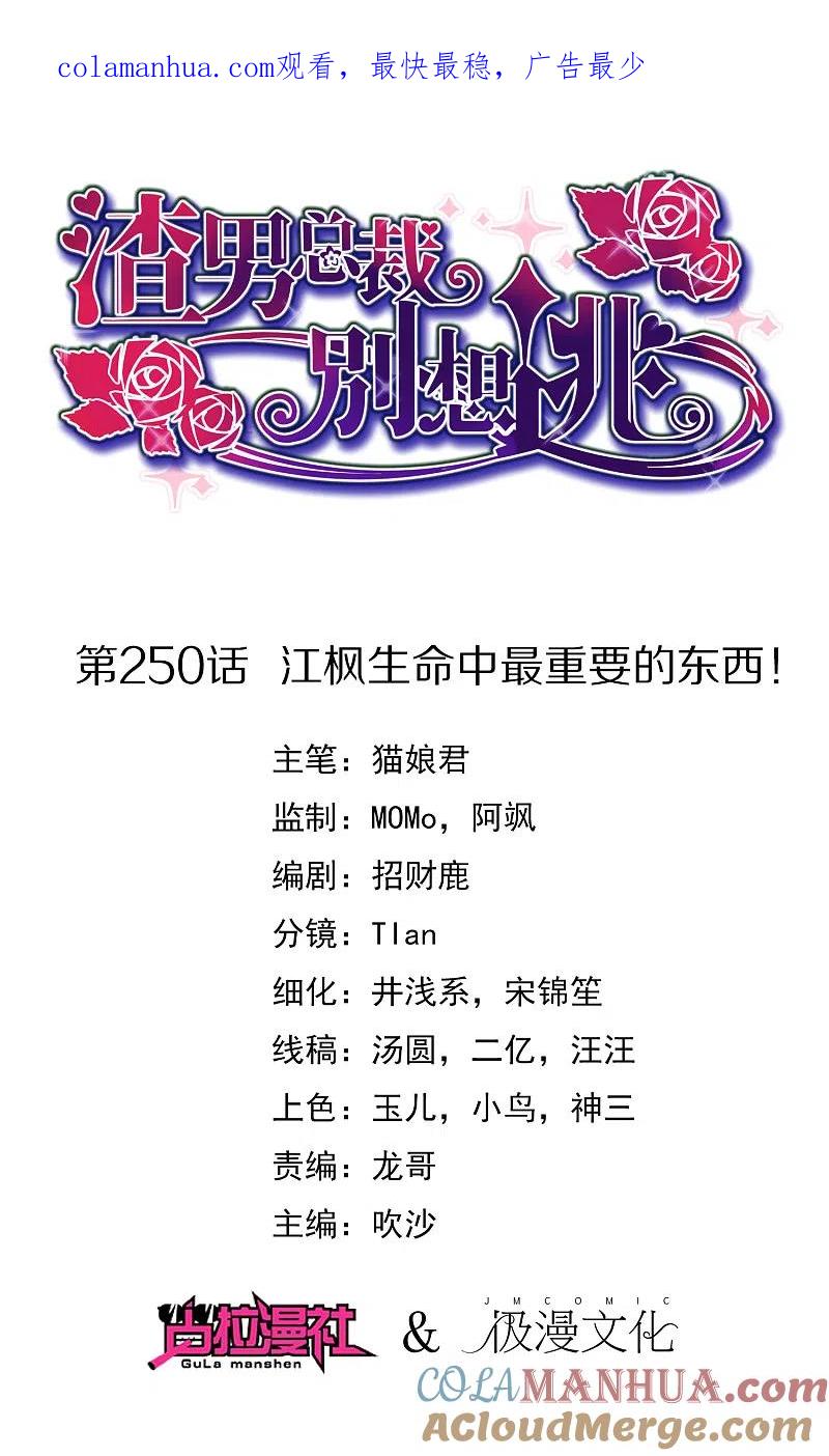 第250话江枫生命中最重要的东西！-渣男总裁别想逃-极漫文化（第1张）
