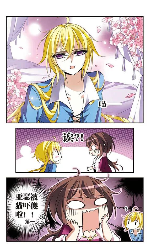 第74话变身成猫的亚瑟-骑士幻想夜-森罗Jusaka（第2张）