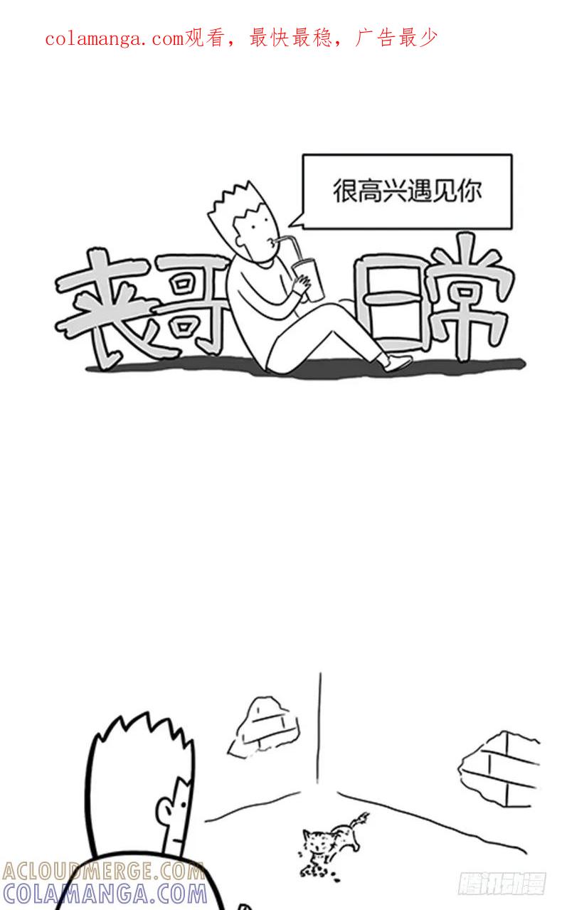 很高兴遇见你，小咪-素菜包-金姨（第1张）