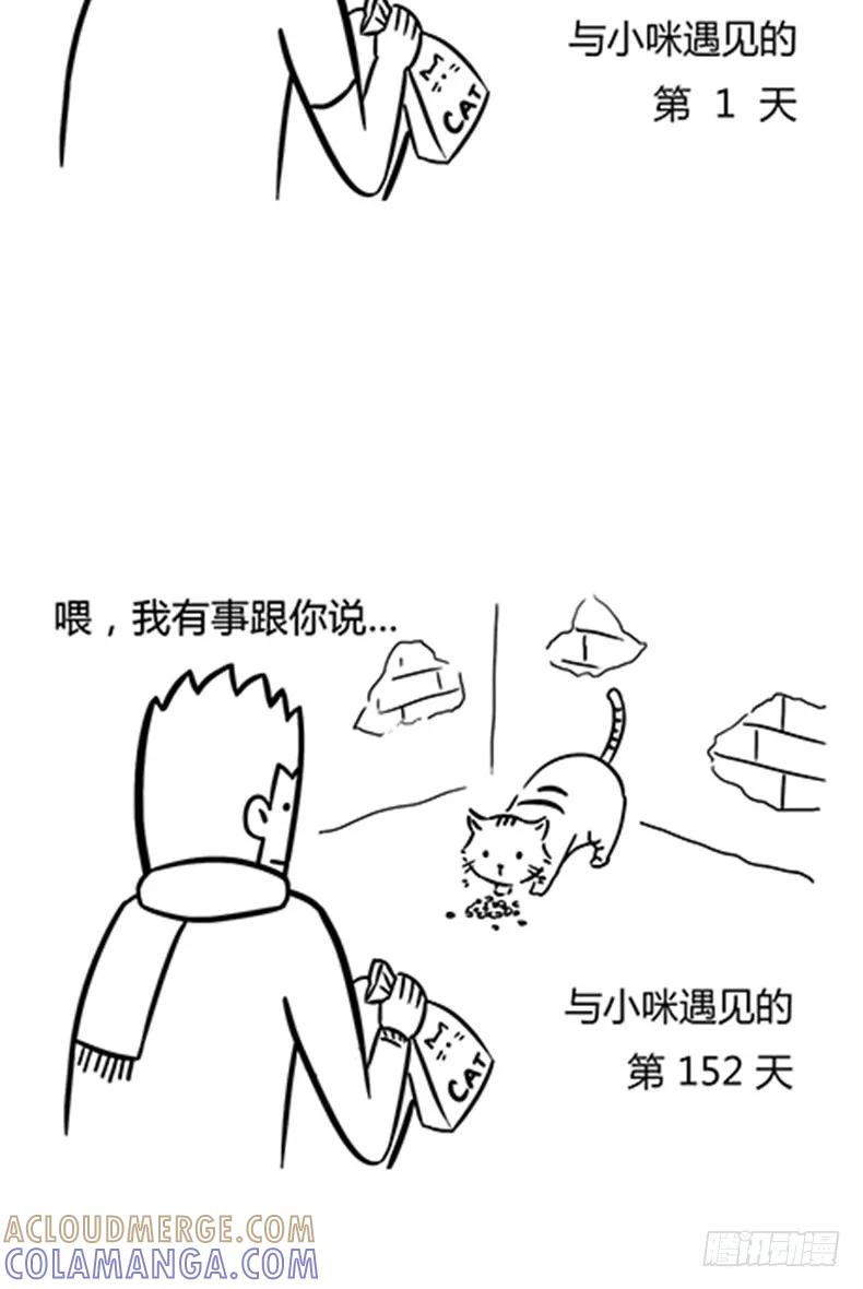 很高兴遇见你，小咪-素菜包-金姨（第2张）