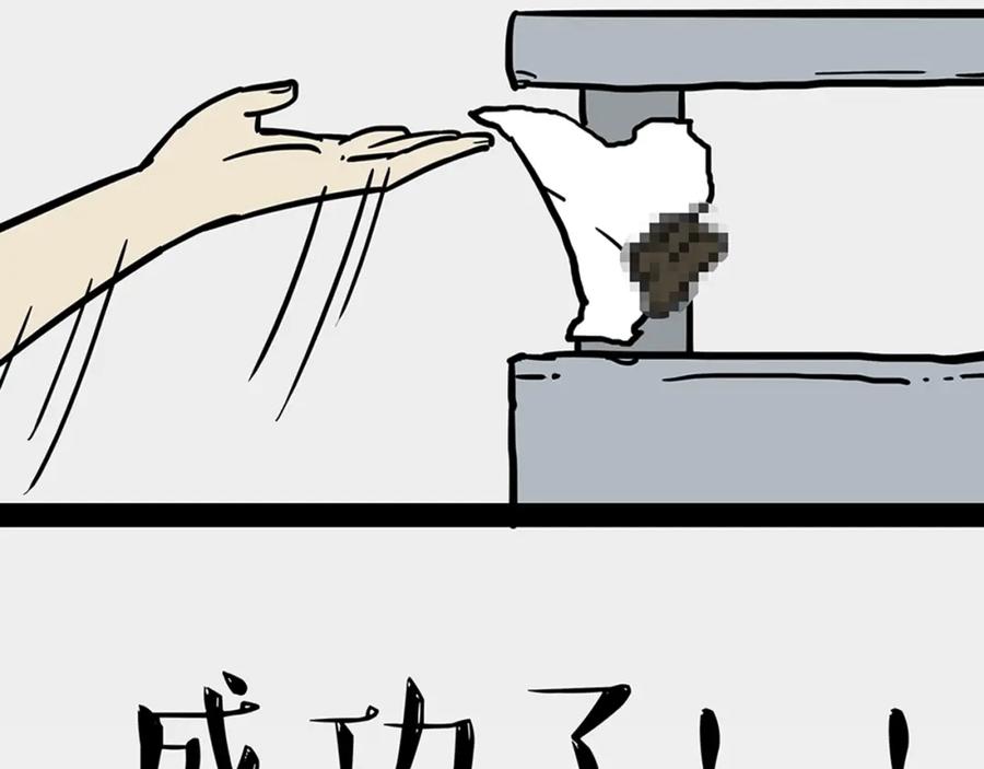 44.jpg