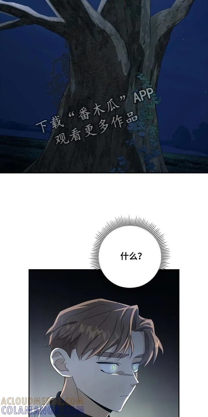 第135章：【第三季】结局终究是悲剧-姻缘天注定-ROAMM（第4张）