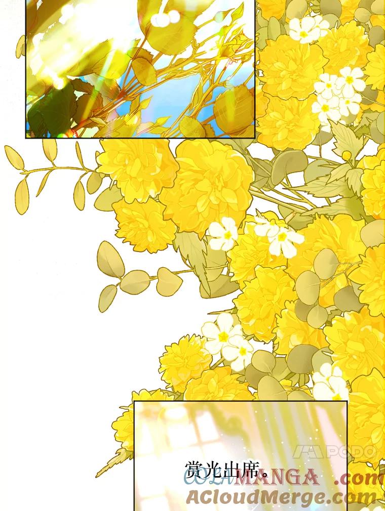 85.jpg