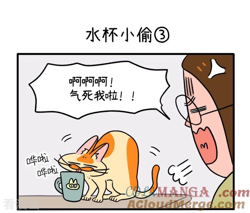 第26话水杯小偷-阿满和麦茶-新漫画 日胖大海寺（第9张）