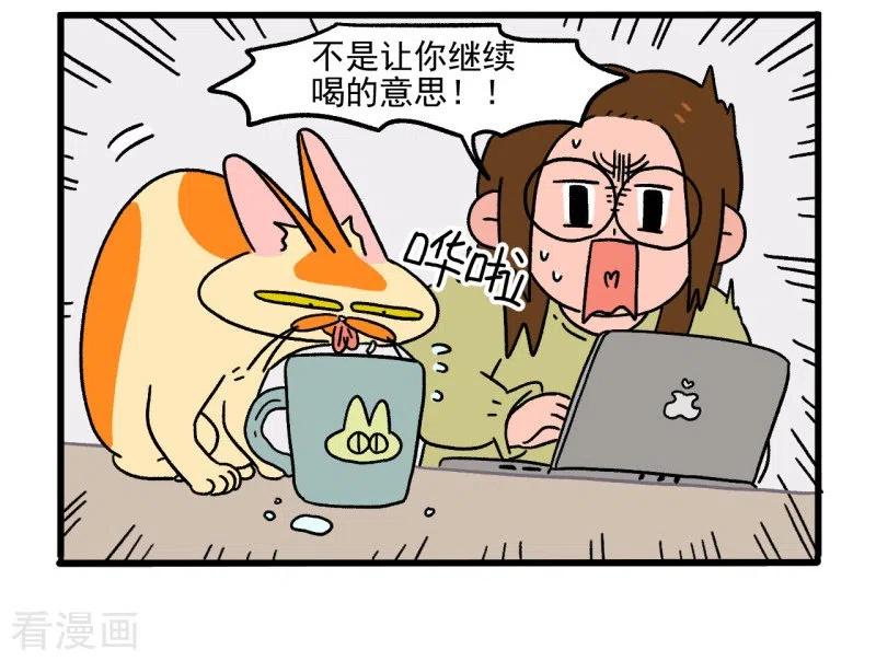 第26话水杯小偷-阿满和麦茶-新漫画 日胖大海寺（第4张）