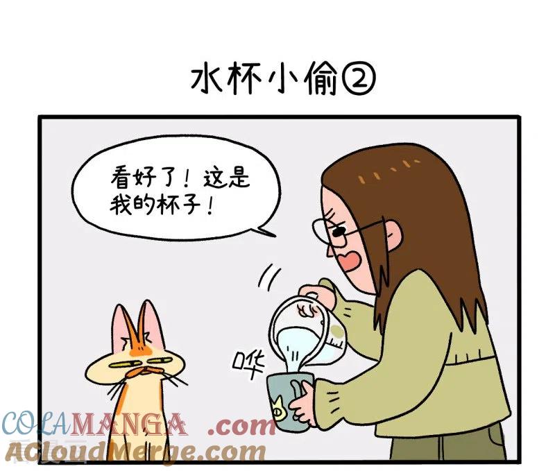 第26话水杯小偷-阿满和麦茶-新漫画 日胖大海寺（第5张）