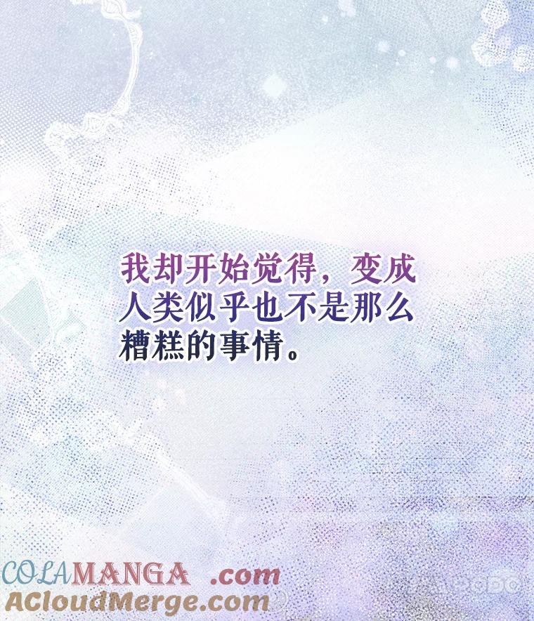 77.jpg