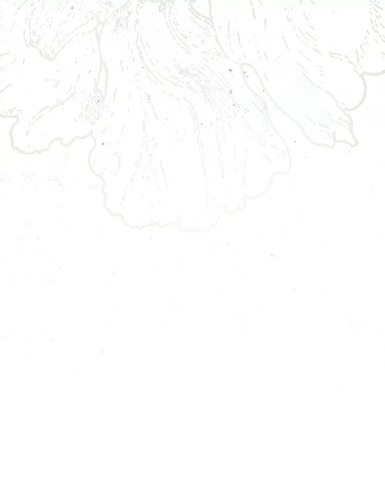 116.jpg