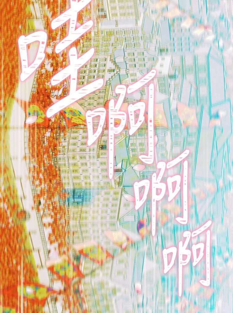 48.jpg