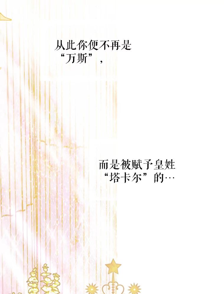 95.jpg