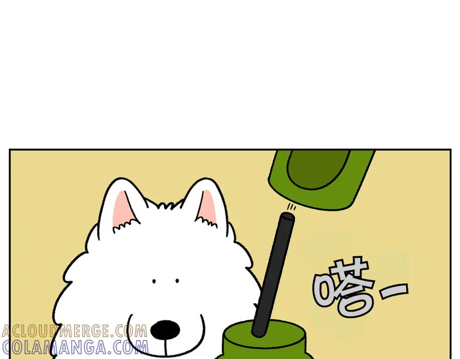 第32话没有捡屎袋-我的狗子叫棉花-milo+Polarfox（第9张）
