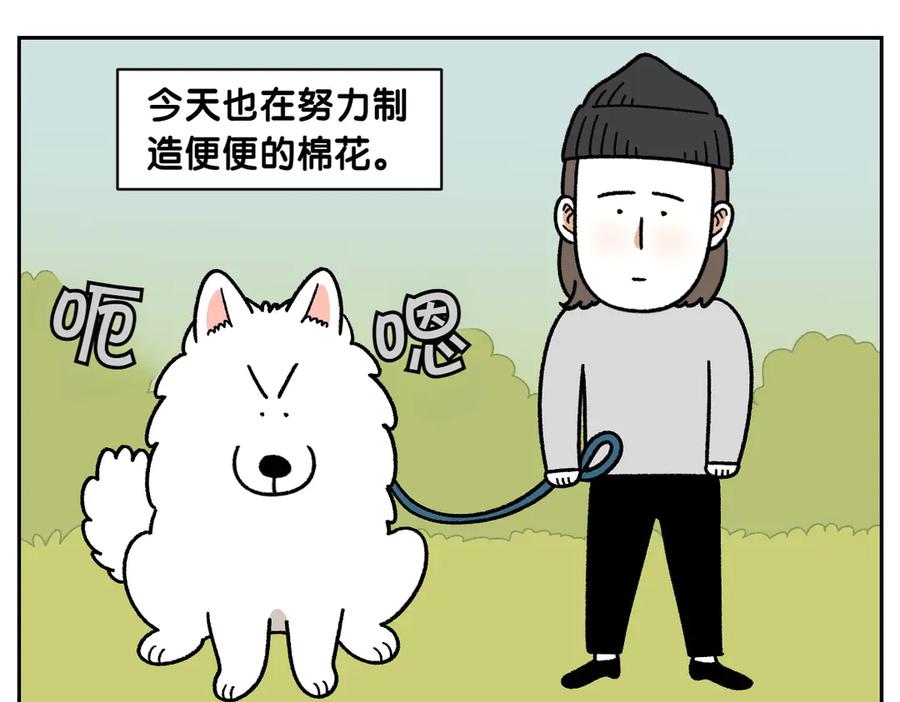 第32话没有捡屎袋-我的狗子叫棉花-milo+Polarfox（第4张）