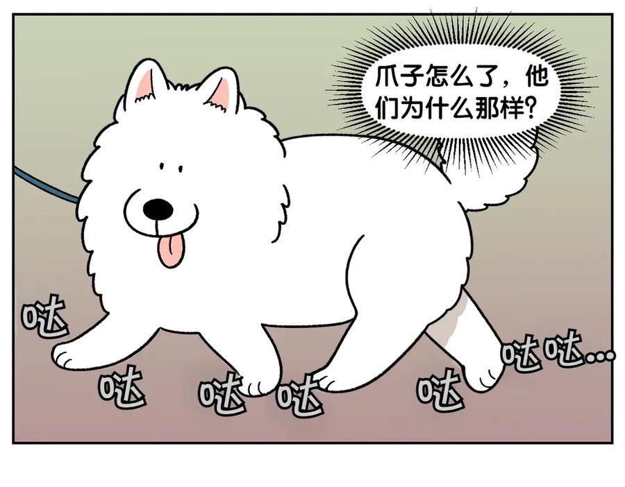 第33话超级大脚-我的狗子叫棉花-milo+Polarfox（第8张）