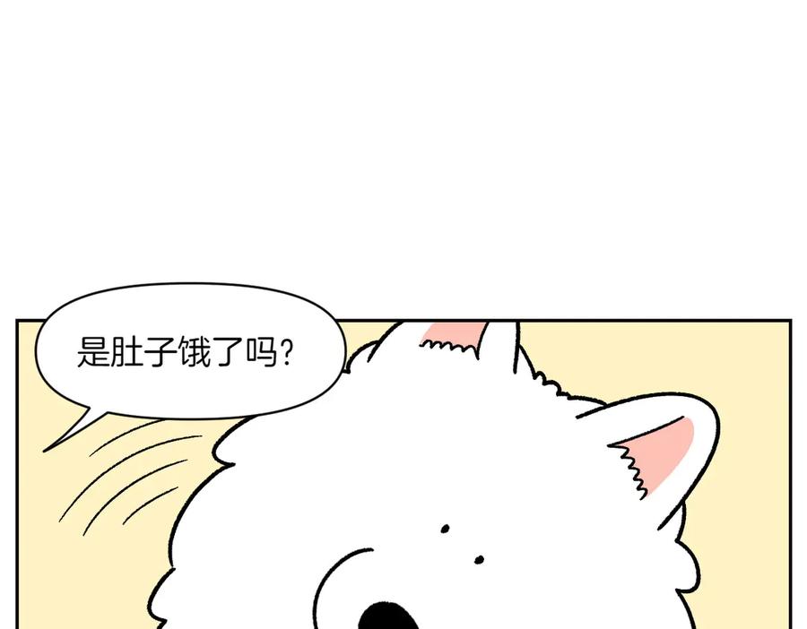 第34话做棉花的饭-我的狗子叫棉花-milo+Polarfox（第8张）