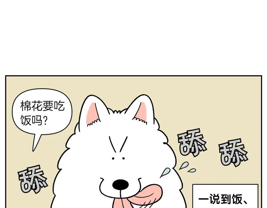 第34话做棉花的饭-我的狗子叫棉花-milo+Polarfox（第11张）