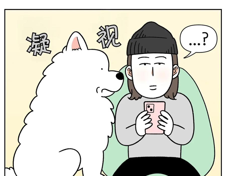 第34话做棉花的饭-我的狗子叫棉花-milo+Polarfox（第4张）