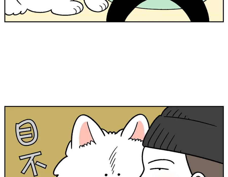 第34话做棉花的饭-我的狗子叫棉花-milo+Polarfox（第5张）