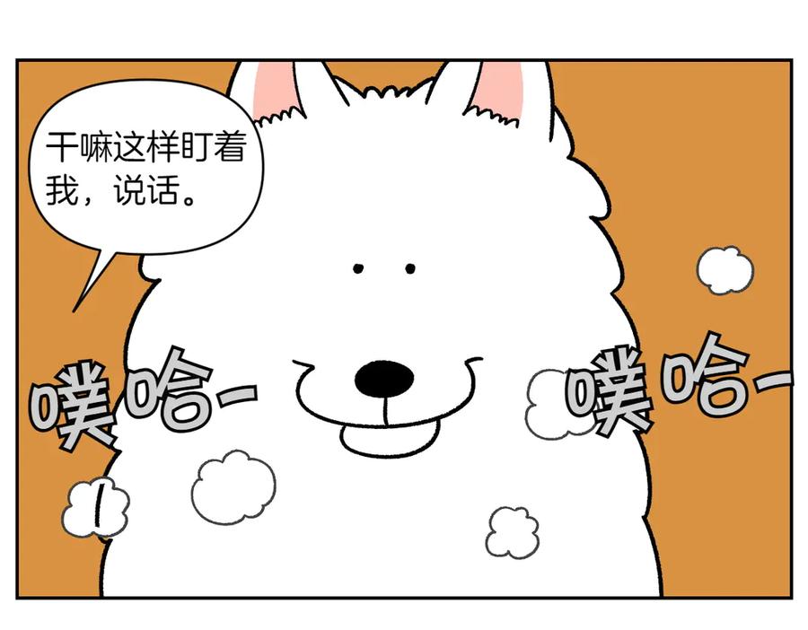第34话做棉花的饭-我的狗子叫棉花-milo+Polarfox（第7张）