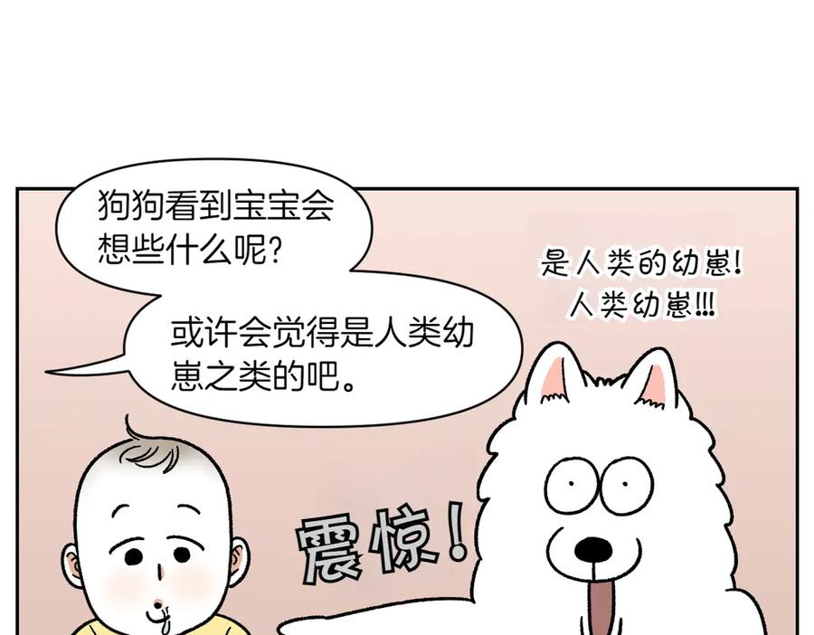 第37话宝宝客人和棉花-我的狗子叫棉花-milo+Polarfox（第10张）