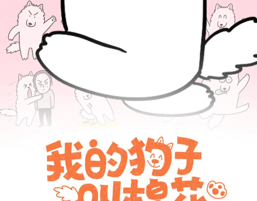 第38话狗和宝宝的共同点-我的狗子叫棉花-milo+Polarfox（第1张）