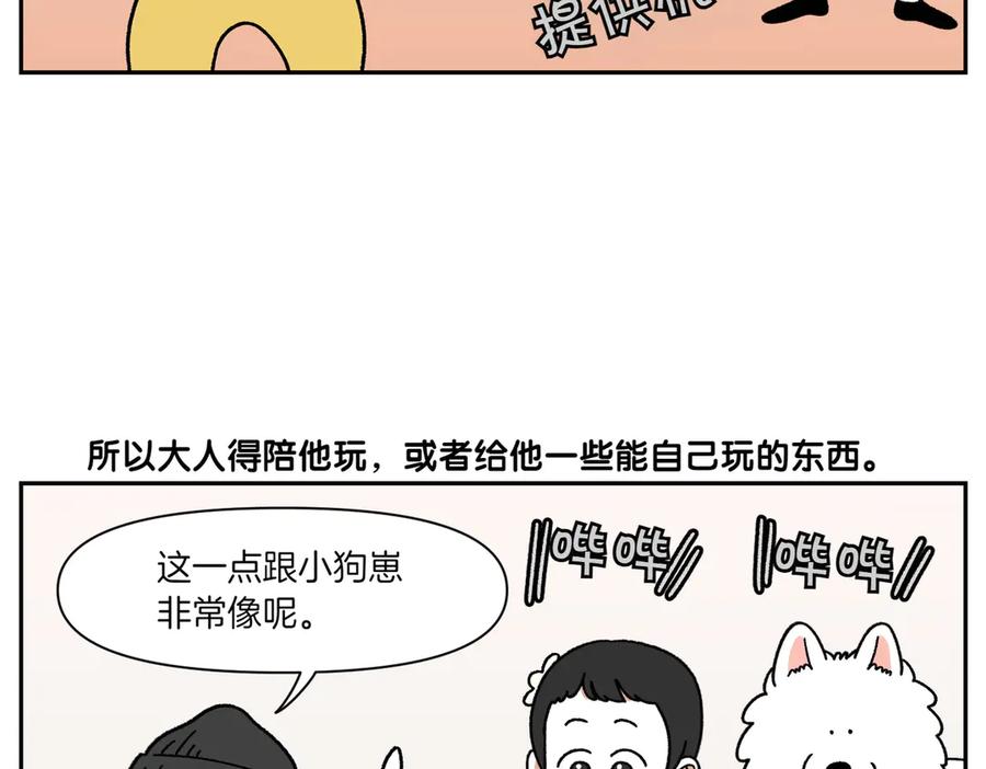 第39话狗和宝宝的共同点2-我的狗子叫棉花-milo+Polarfox（第5张）