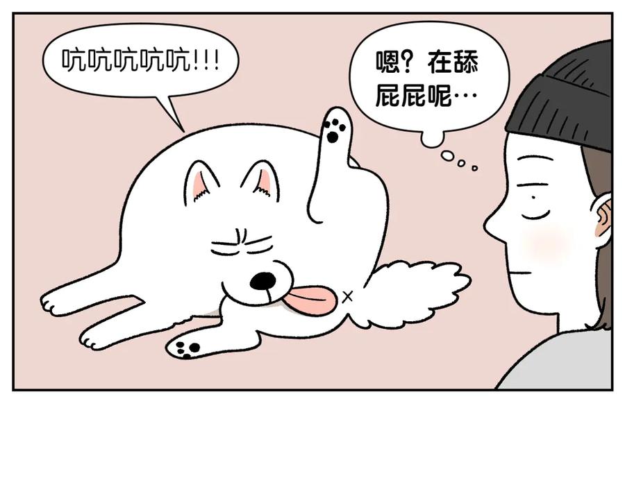 第40话挤肛门腺-我的狗子叫棉花-milo+Polarfox（第4张）