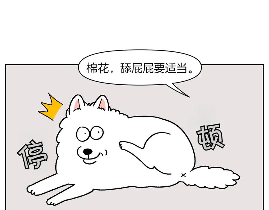 第40话挤肛门腺-我的狗子叫棉花-milo+Polarfox（第5张）
