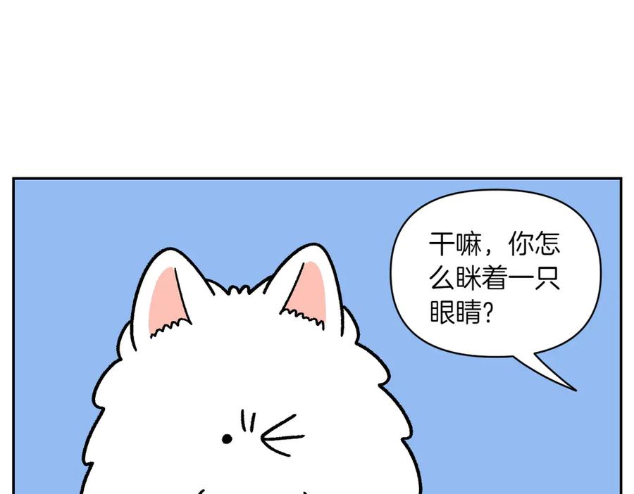 第42话治疗眼病(1)-我的狗子叫棉花-milo+Polarfox（第5张）