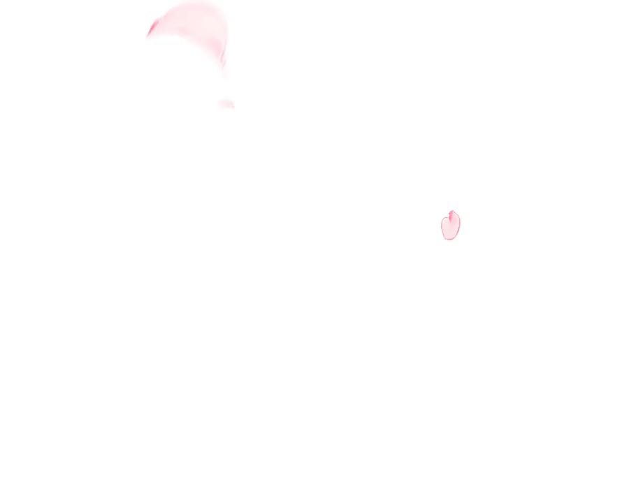 64.jpg