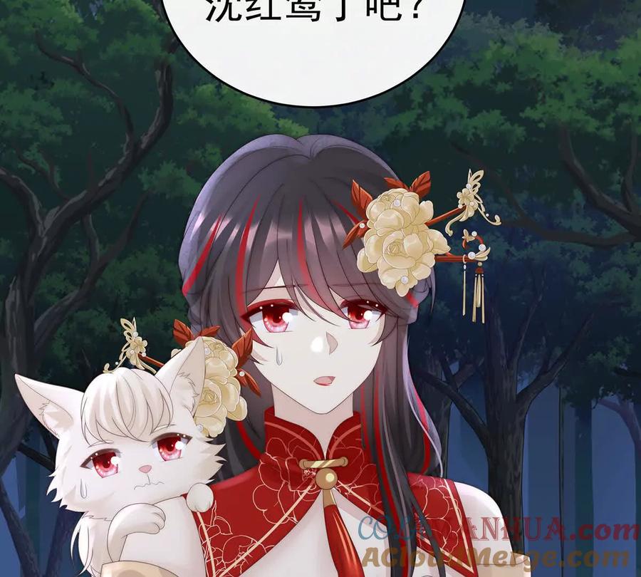 112卖了你做诱饵-妻主，请享用-拂晓联盟 & 胡桃文化（第13张）