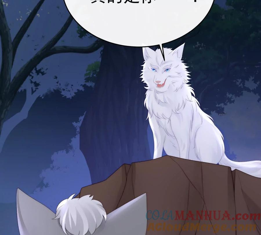 112卖了你做诱饵-妻主，请享用-拂晓联盟 & 胡桃文化（第17张）
