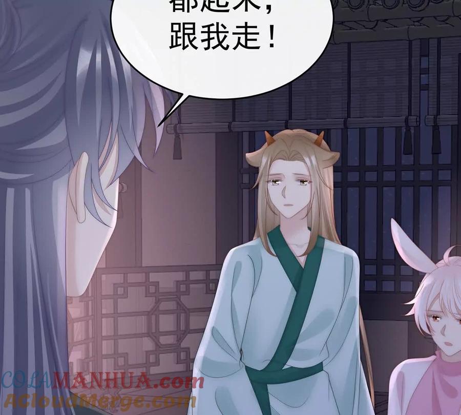 114幕后主使-妻主，请享用-拂晓联盟 & 胡桃文化（第33张）