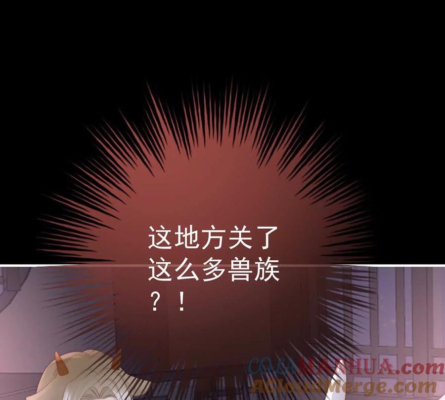 114幕后主使-妻主，请享用-拂晓联盟 & 胡桃文化（第25张）