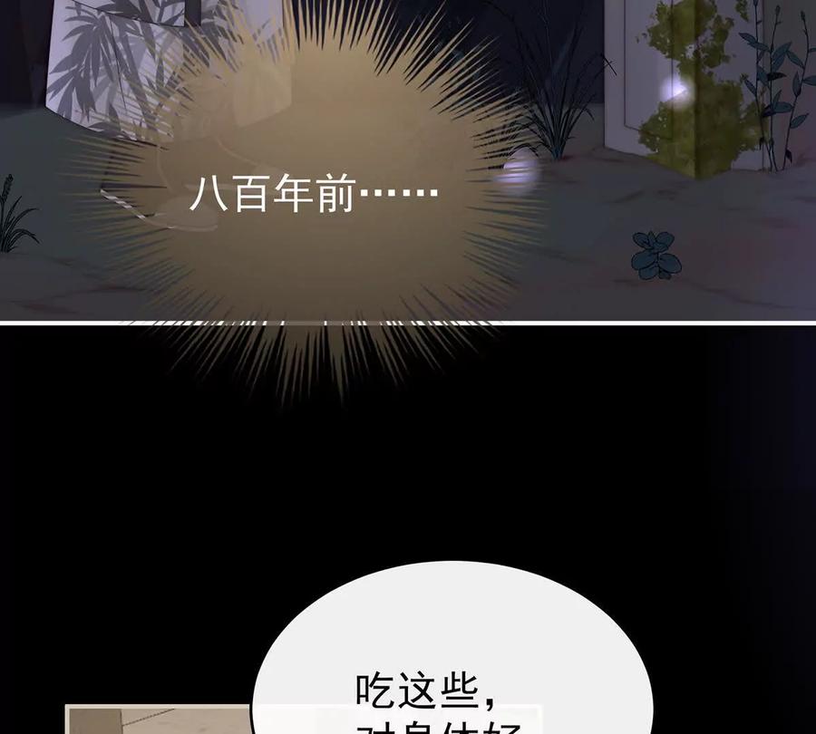 132你究竟有几只猪？-妻主，请享用-拂晓联盟 & 胡桃文化（第11张）