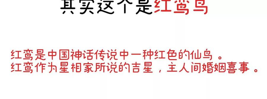特别篇主角团的诞生-妻主，请享用-拂晓联盟 & 胡桃文化（第20张）