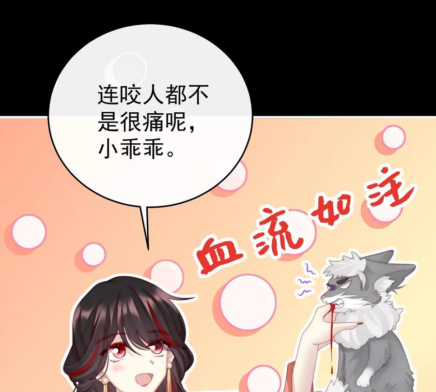 20白嫖一只狼崽-妻主，请享用-拂晓联盟 & 胡桃文化（第14张）